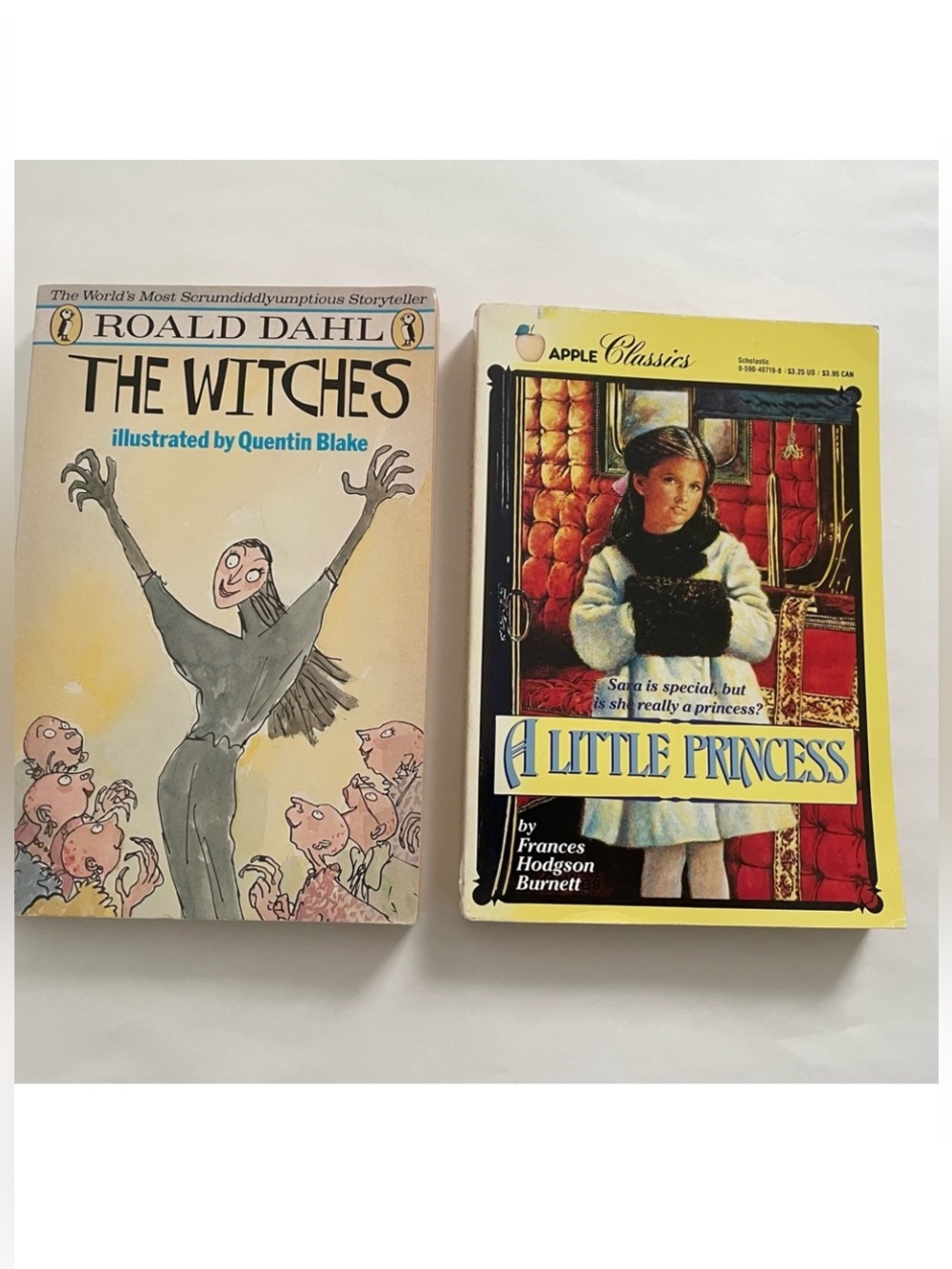 Children's Book Bundle Roald Dahl Witches And A Little Princess Frances
Burnett